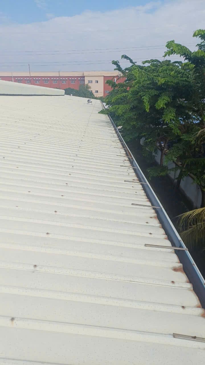 Dự án máng xồi 2