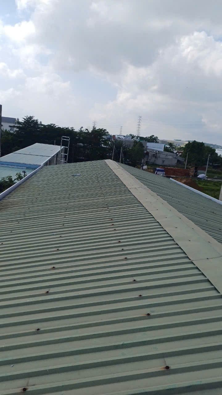 Dự án máng xồi 3