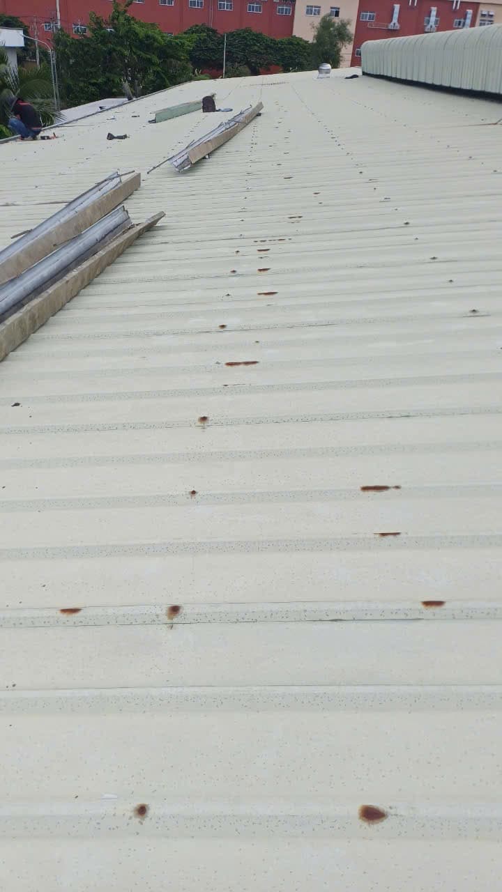 Dự án máng xồi 4